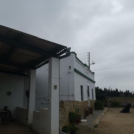 Casa Rural Masia D'En Gall L'Aldea Dış mekan fotoğraf
