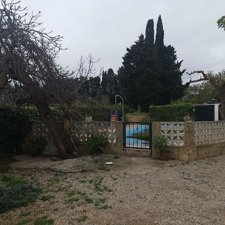Casa Rural Masia D'En Gall L'Aldea Dış mekan fotoğraf