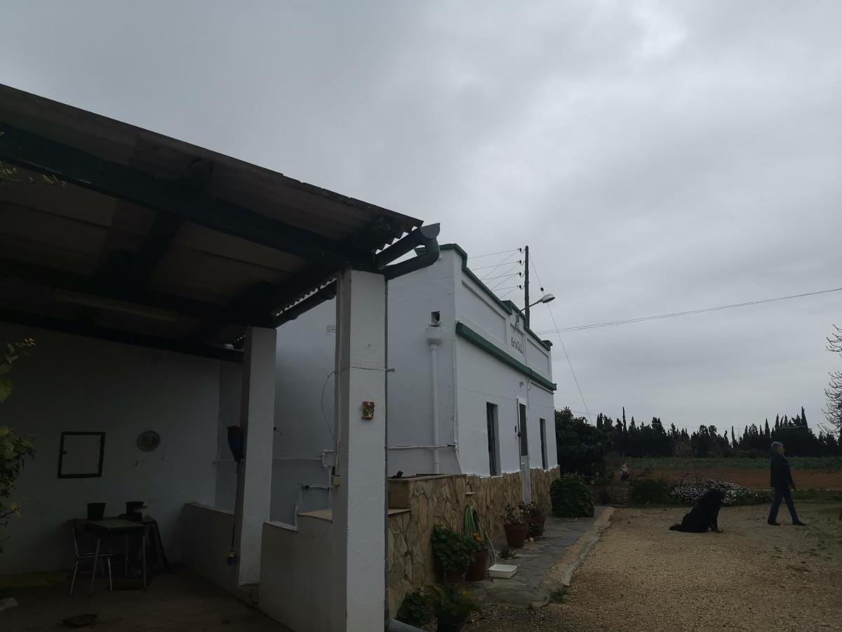 Casa Rural Masia D'En Gall L'Aldea Dış mekan fotoğraf