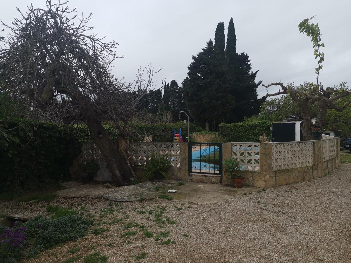 Casa Rural Masia D'En Gall L'Aldea Dış mekan fotoğraf