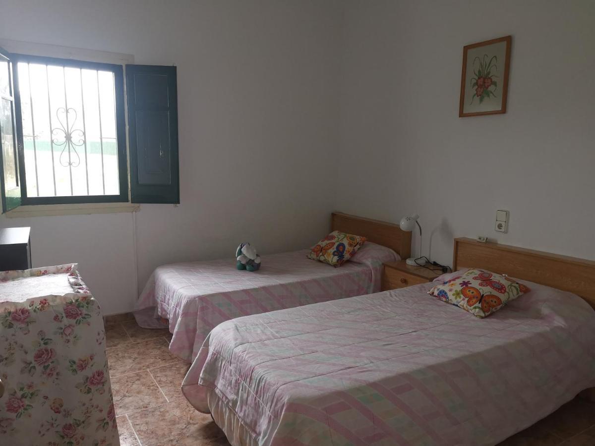 Casa Rural Masia D'En Gall L'Aldea Dış mekan fotoğraf