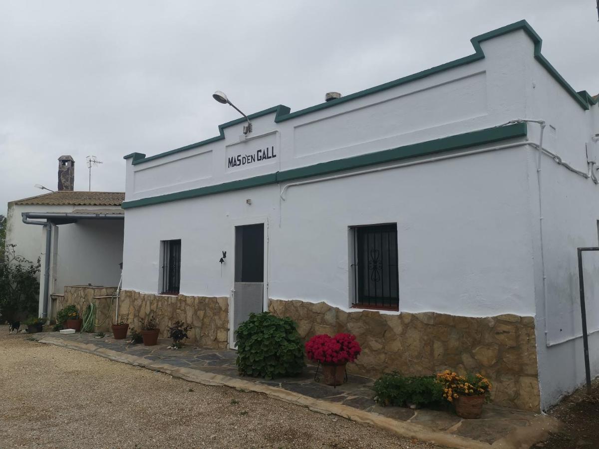 Casa Rural Masia D'En Gall L'Aldea Dış mekan fotoğraf
