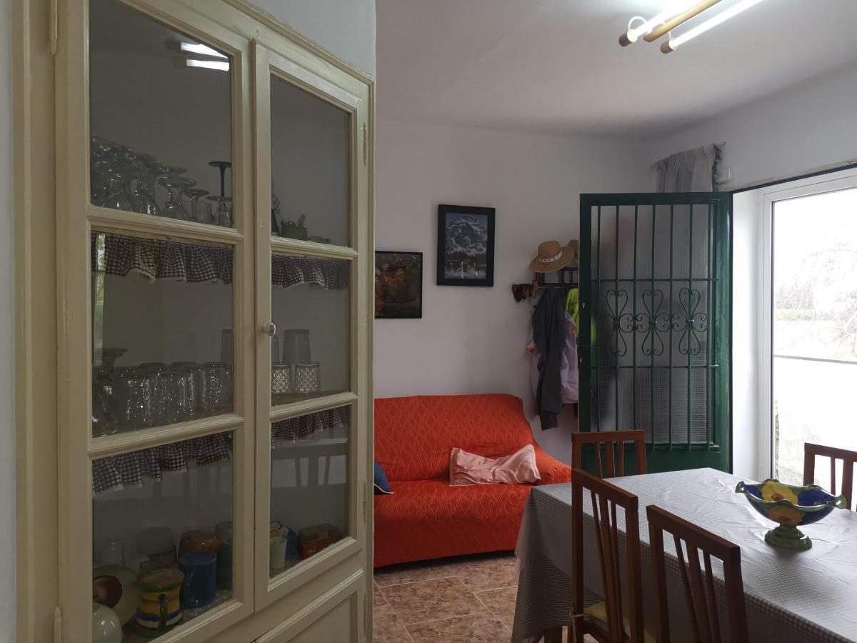 Casa Rural Masia D'En Gall L'Aldea Dış mekan fotoğraf